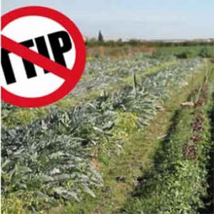 TTIP-Agricoltura