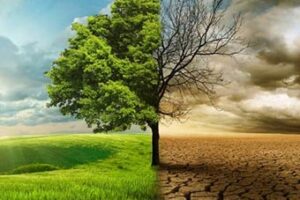 Un’alleanza per il clima, la Terra e la giustizia sociale