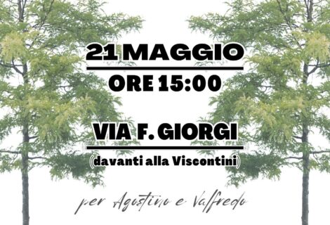 Festa degli alberi – NO CANAL